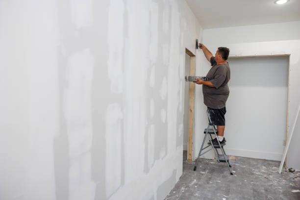 Best Drywall Removal and Disposal  in USA